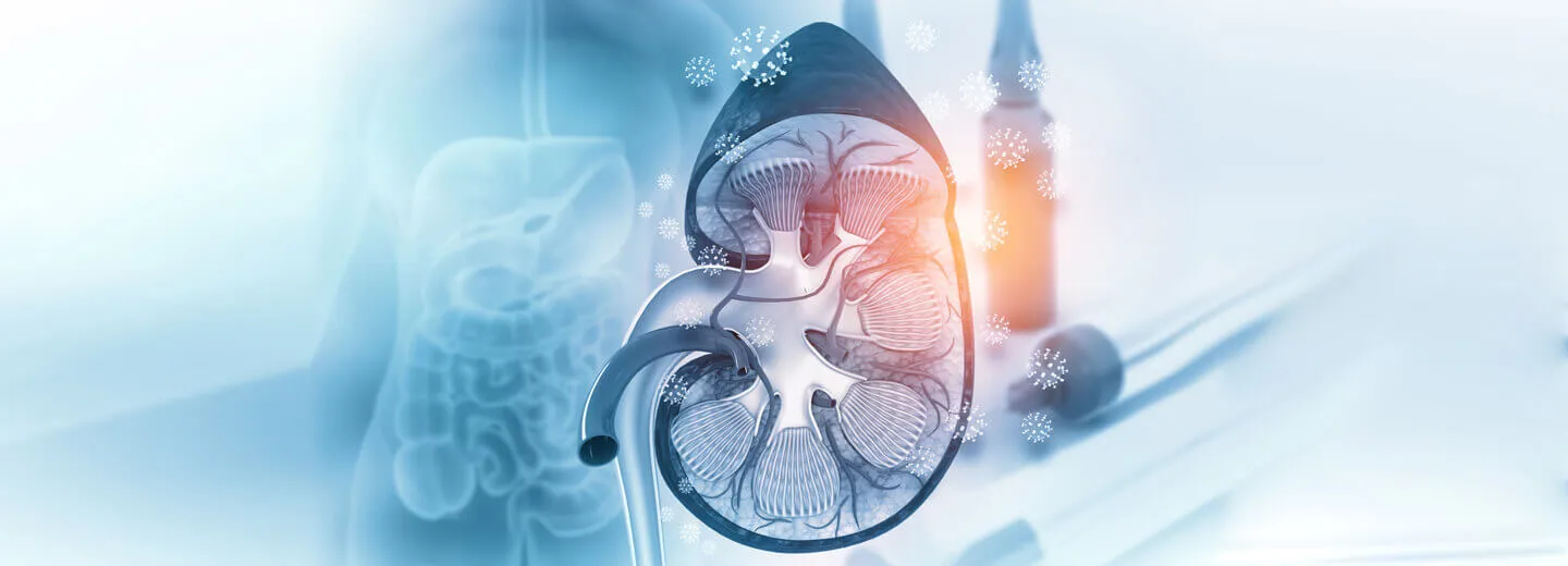 Nephrology Banner 11