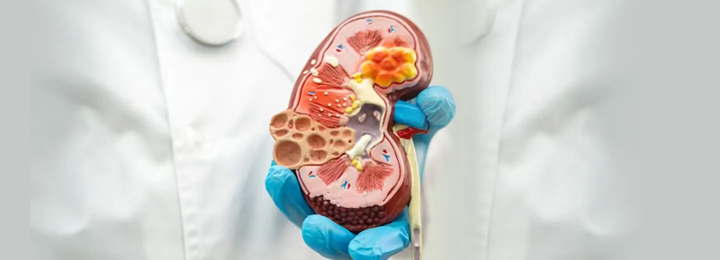 Nephrology Banner 4