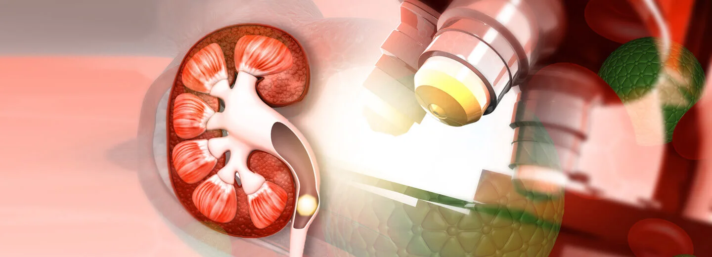 Nephrology Banner 10